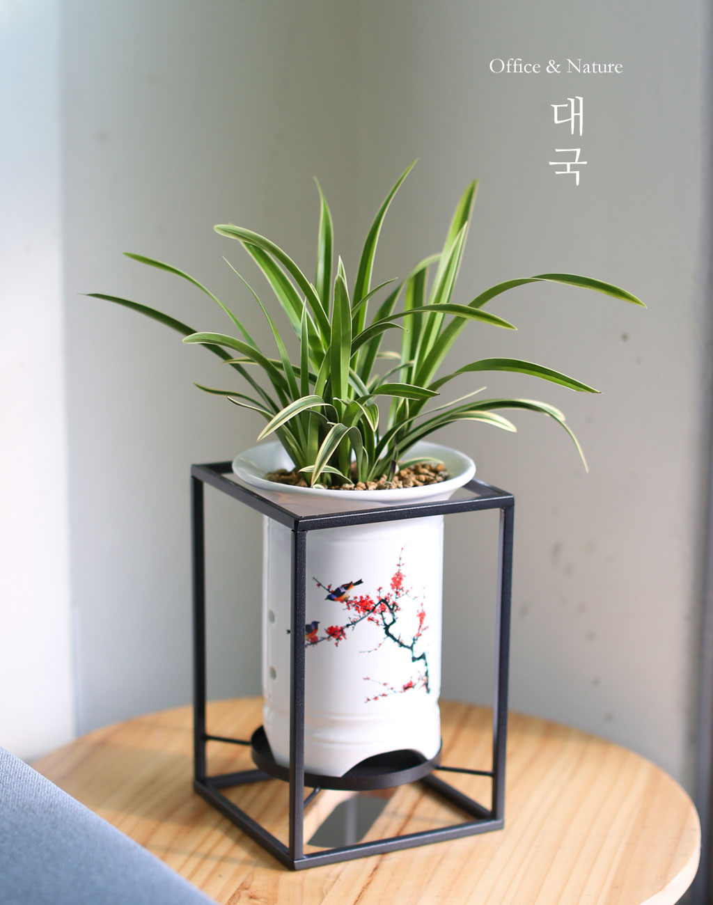 Office & Nature ´ë±¹