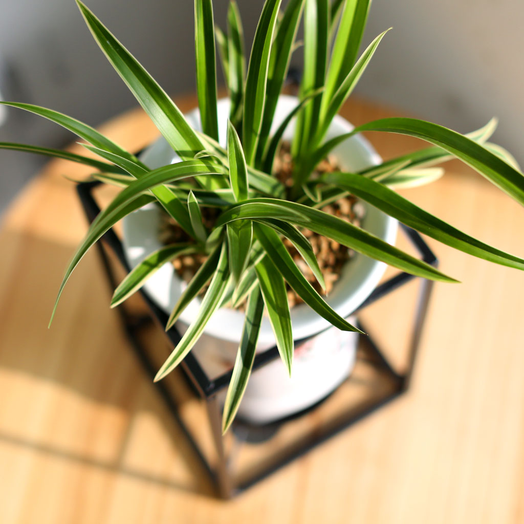 Office & Nature ´ë±¹