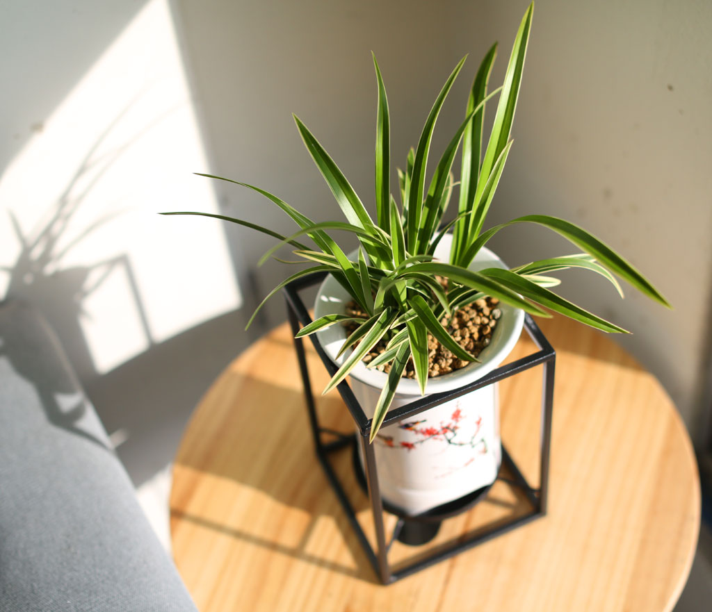 Office & Nature ´ë±¹