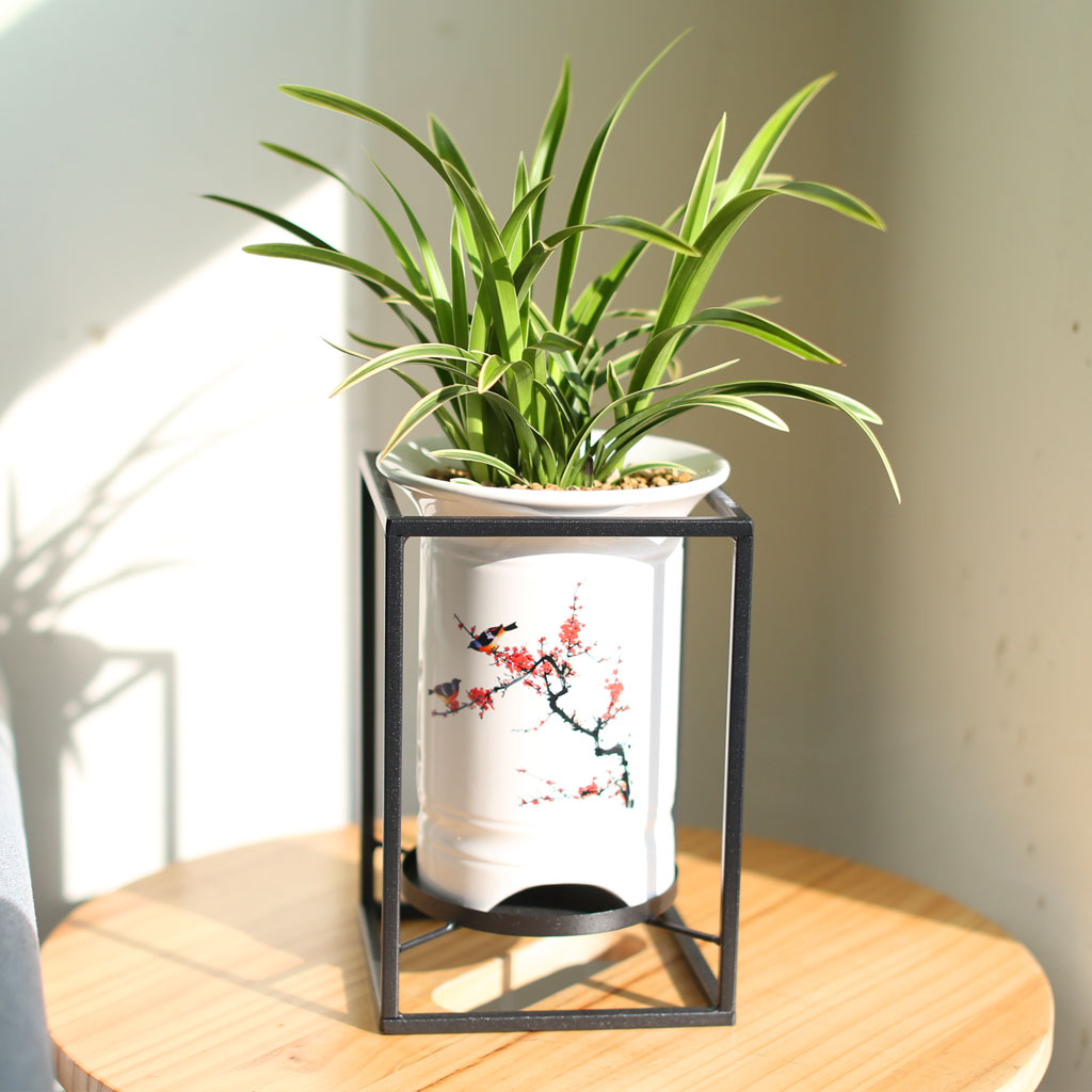 Office & Nature ´ë±¹