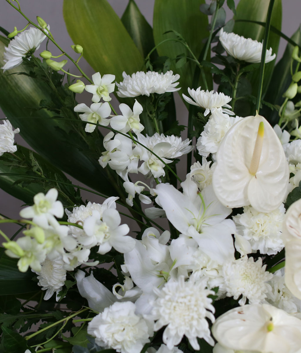 [ ȭȯ] To where you are  ɹ