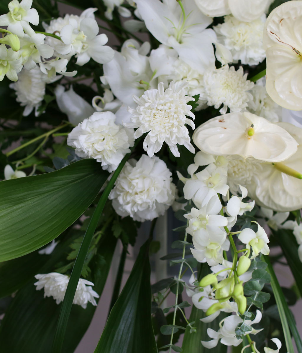 [ ȭȯ] To where you are  ɹ