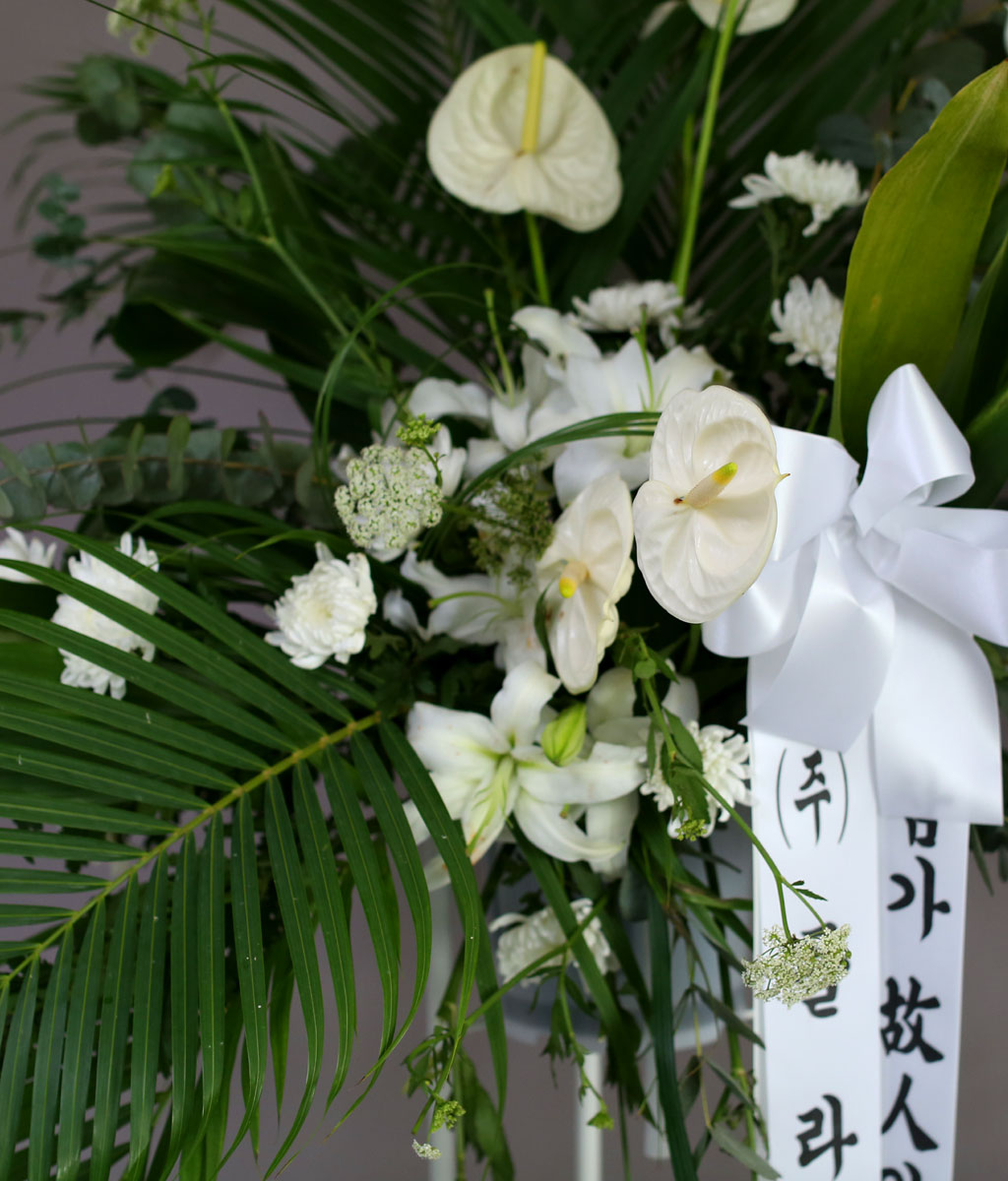 [ ȭȯ] Thank you  ɹ