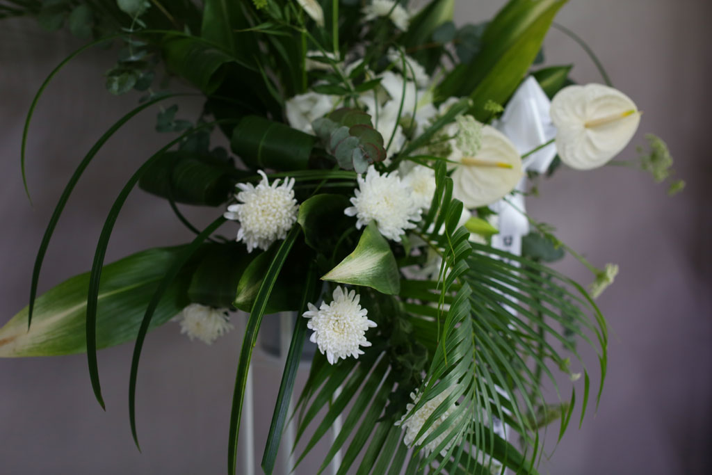 [ ȭȯ] Thank you  ɹ