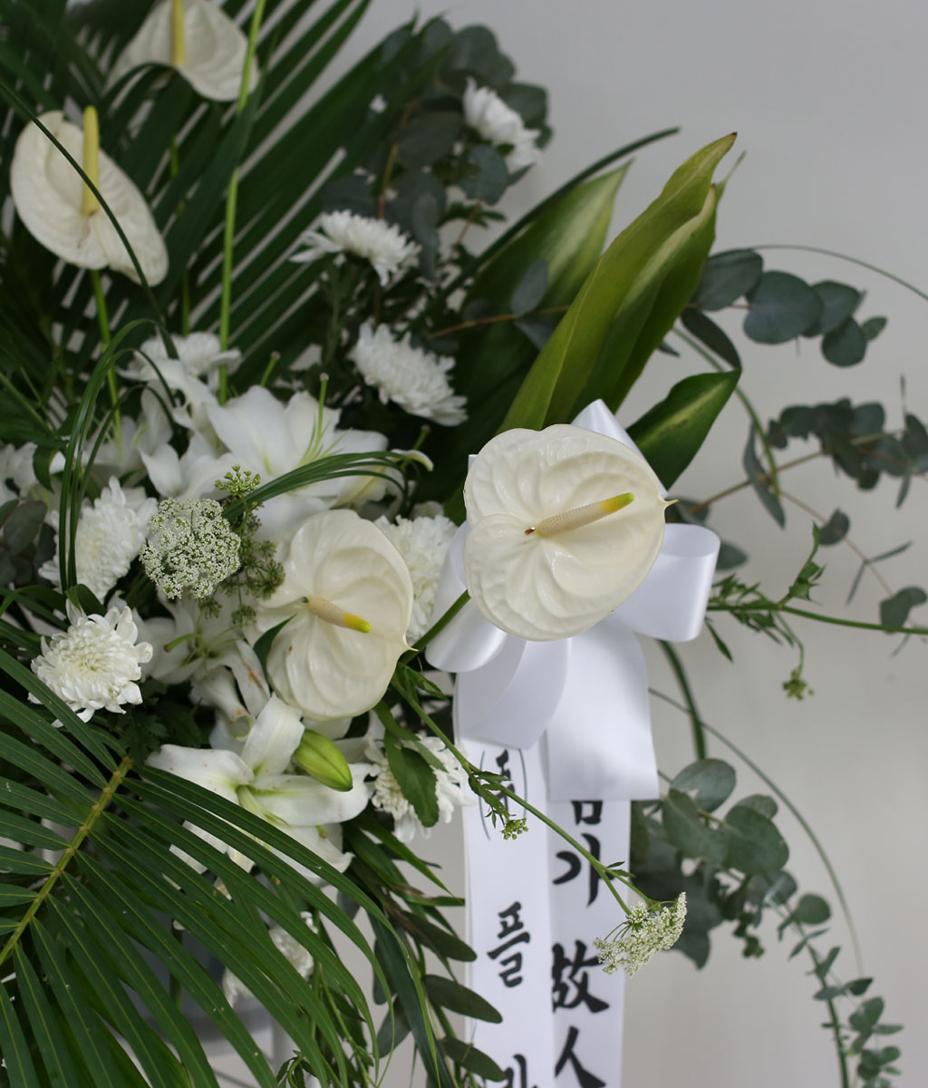 [ ȭȯ] Thank you  ɹ