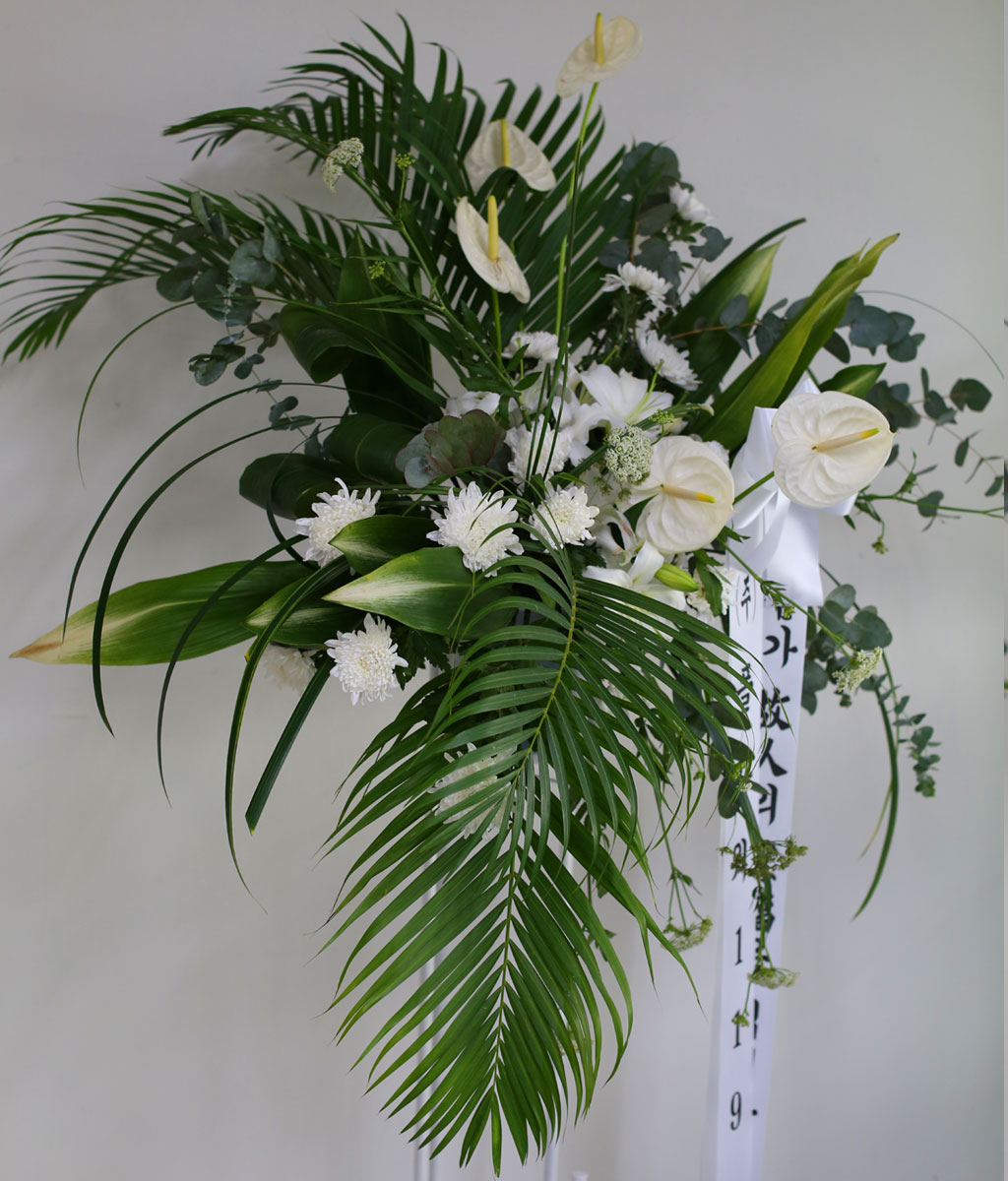 [ ȭȯ] Thank you  ɹ