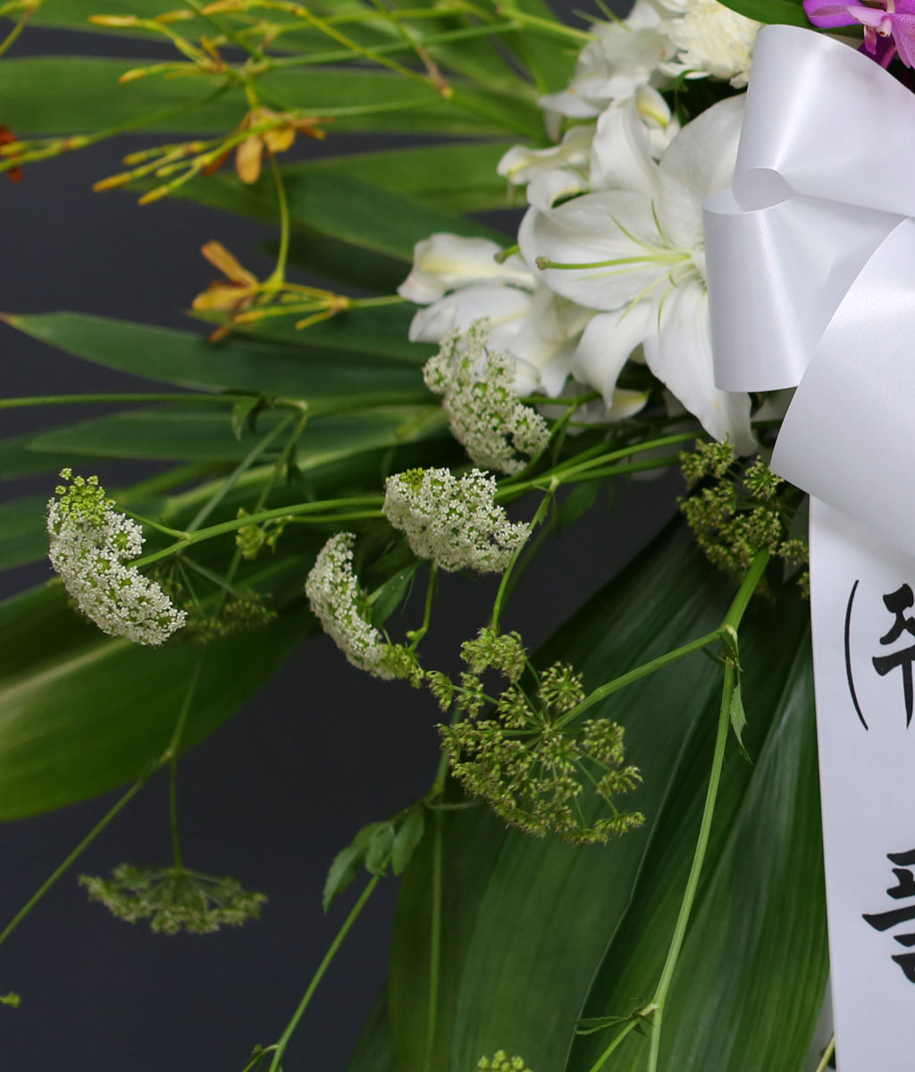 [ ȭȯ] I miss you  ɹ