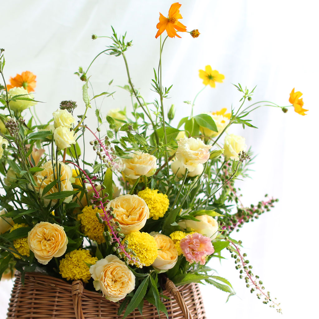 [] Fall in love ڽ  ɹ