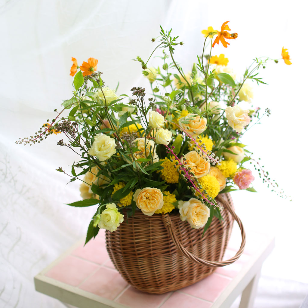 [] Fall in love ڽ  ɹ