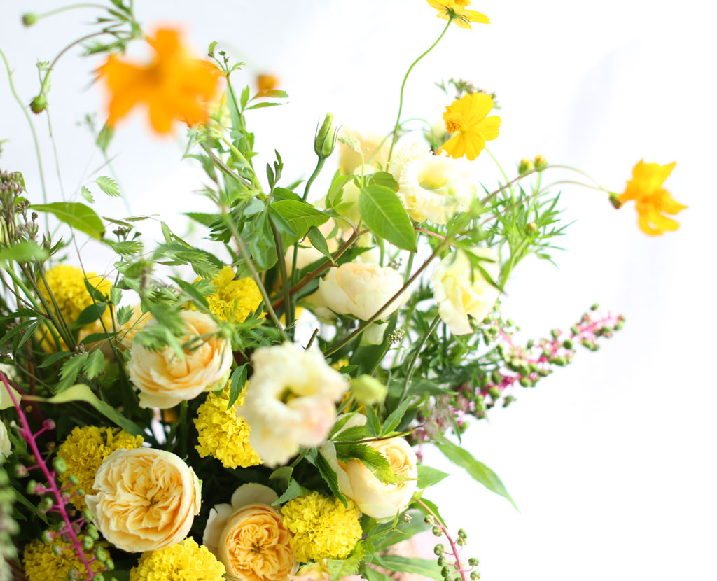 [] Fall in love ڽ  ɹ