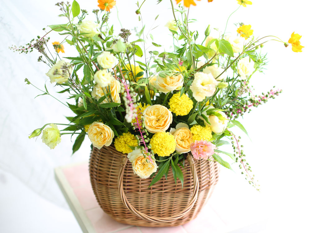 [] Fall in love ڽ  ɹ