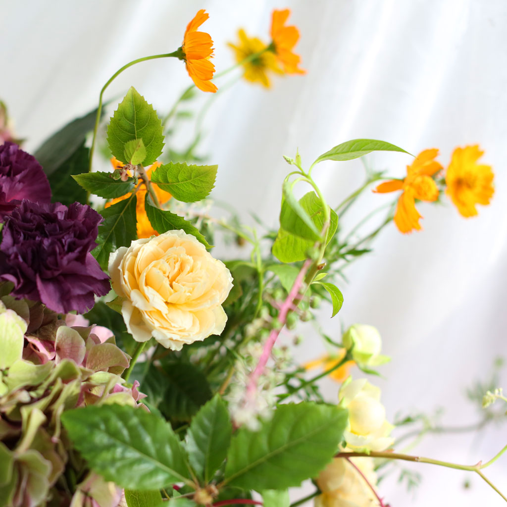 Romantic flowers You are beautiful