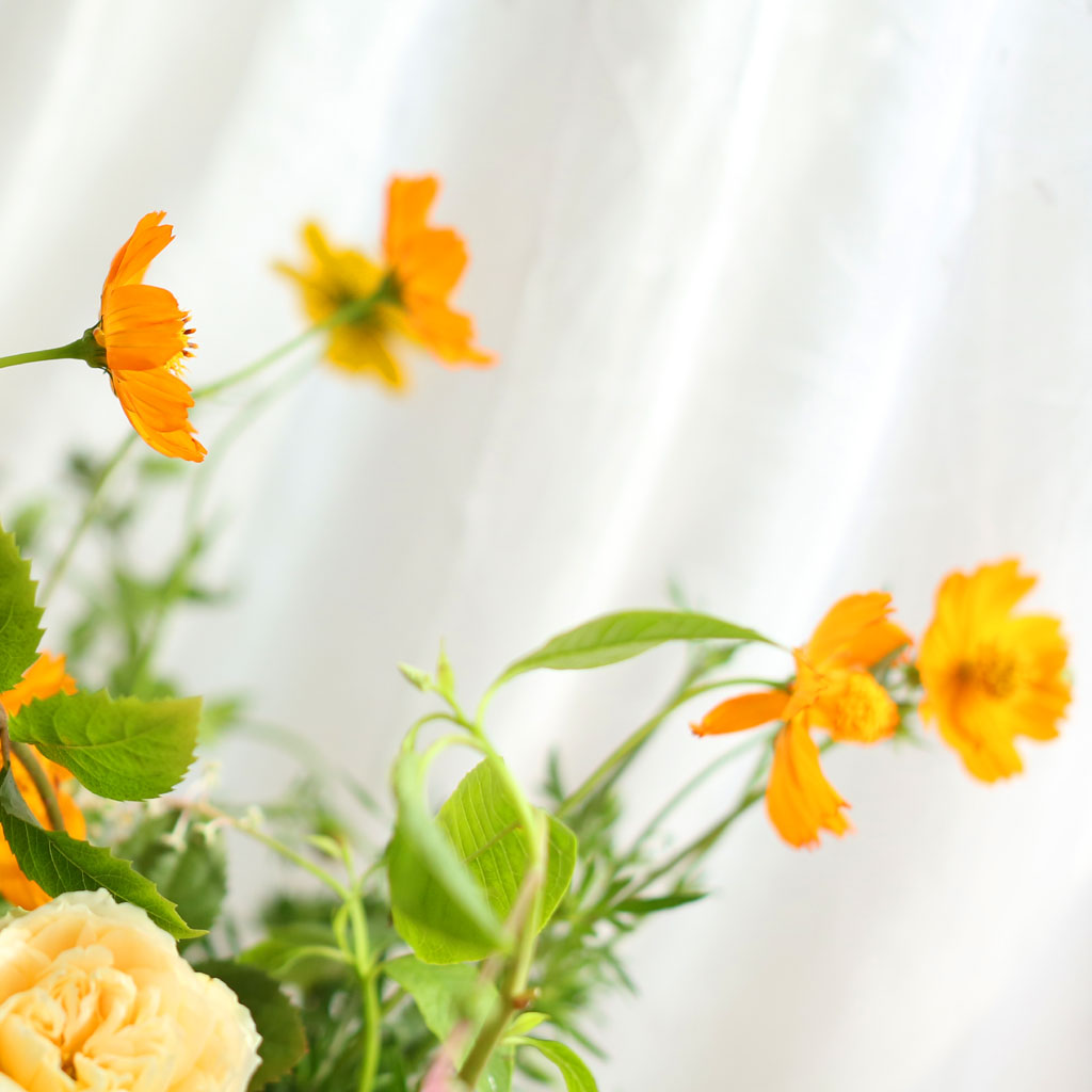 Romantic flowers You are beautiful