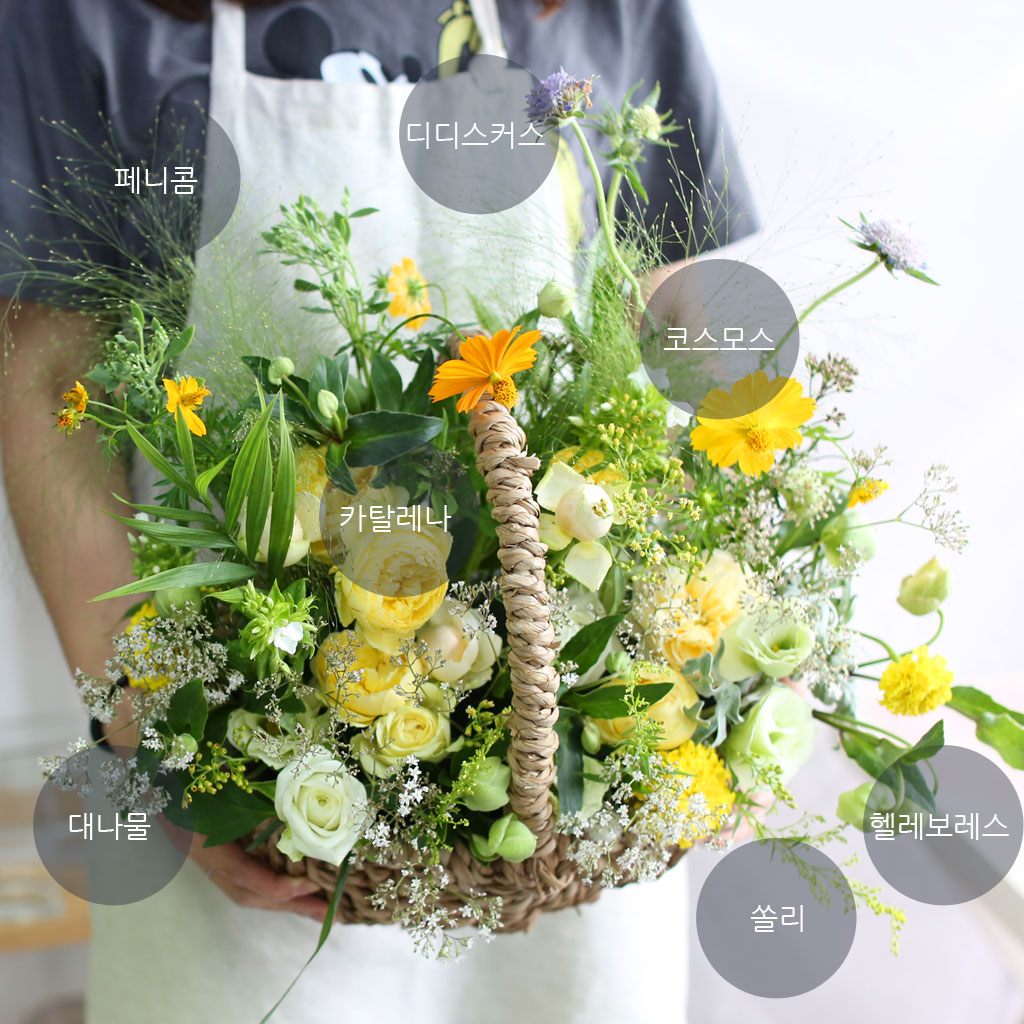 Fall in love ׸  Ǿ  ɹ