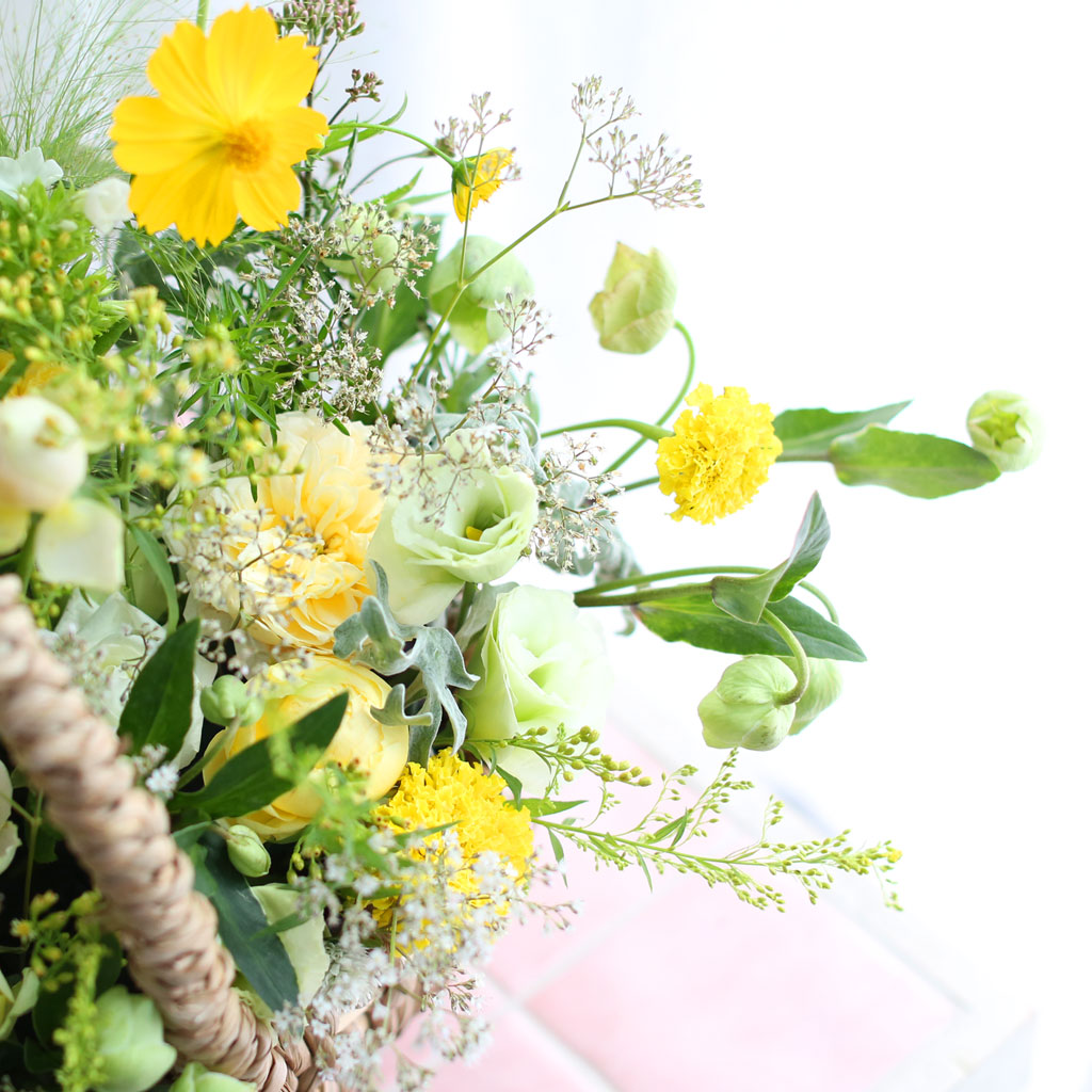 Fall in love ׸  Ǿ  ɹ