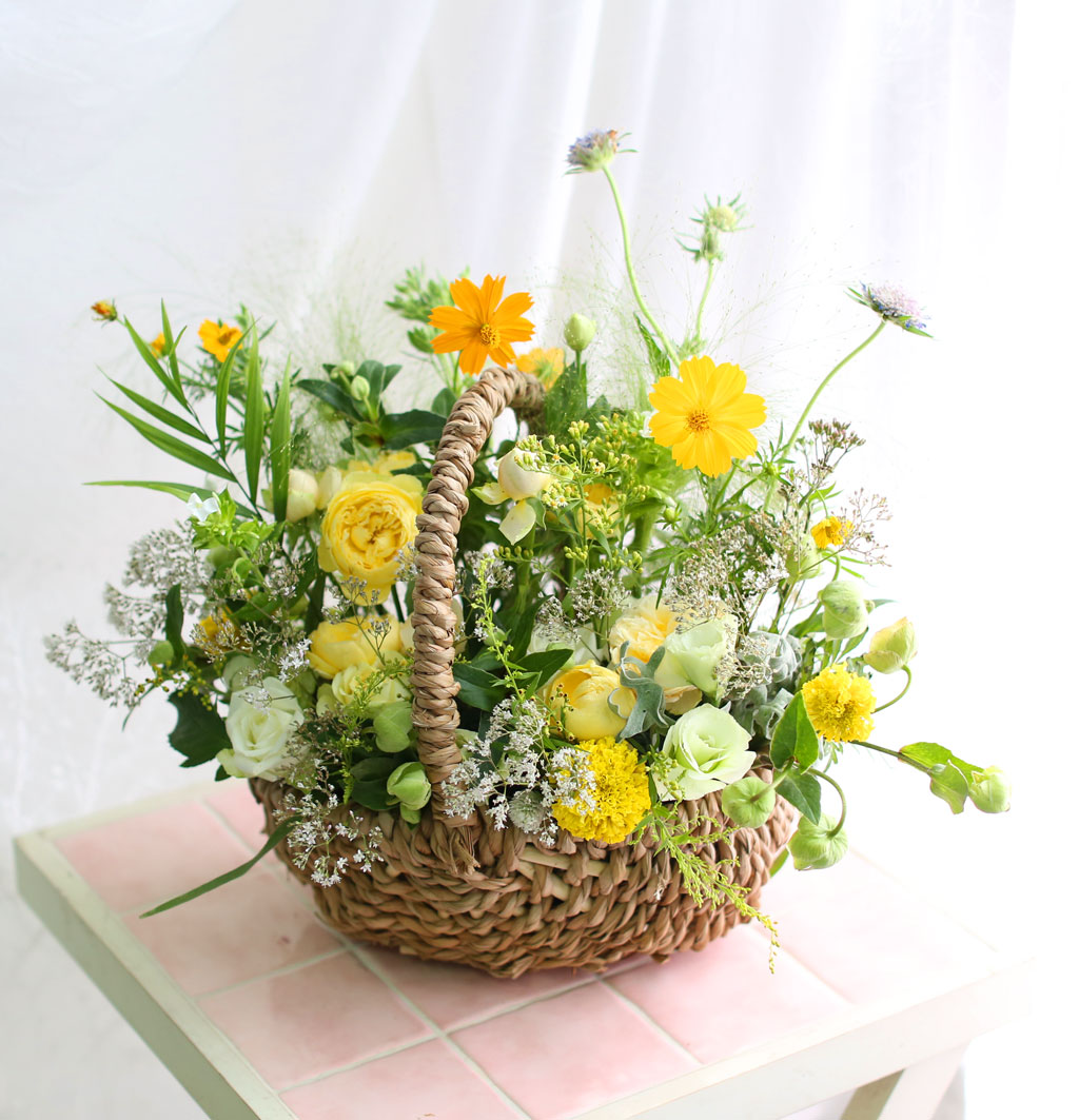 Fall in love ׸  Ǿ  ɹ