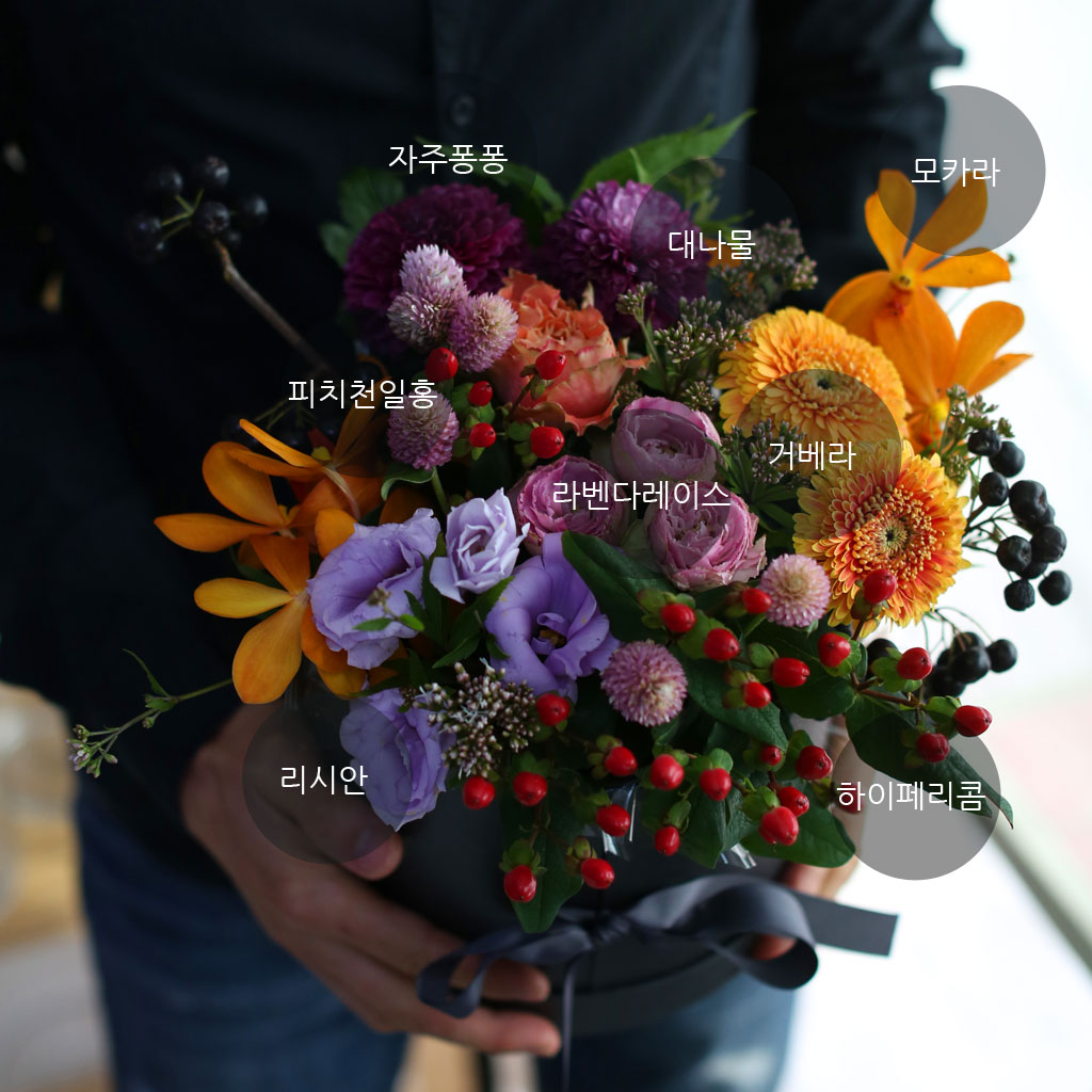 [ ǹ]Fall in love  ź  ɹ