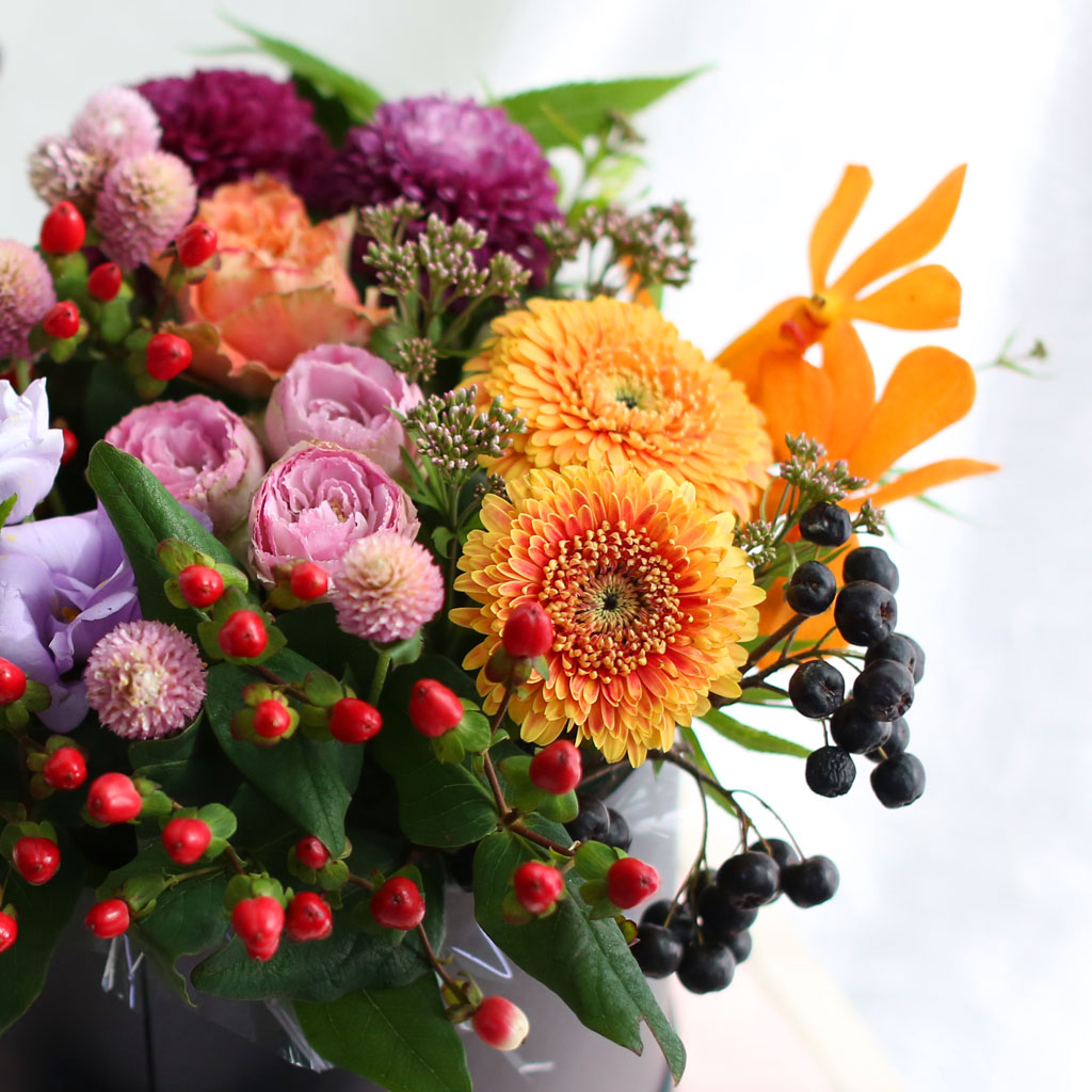 [ ǹ]Fall in love  ź  ɹ