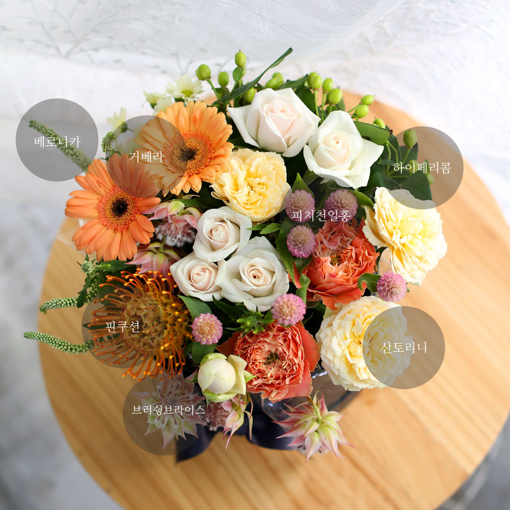 Fall in love- Some Feelings in Fall  ɹ