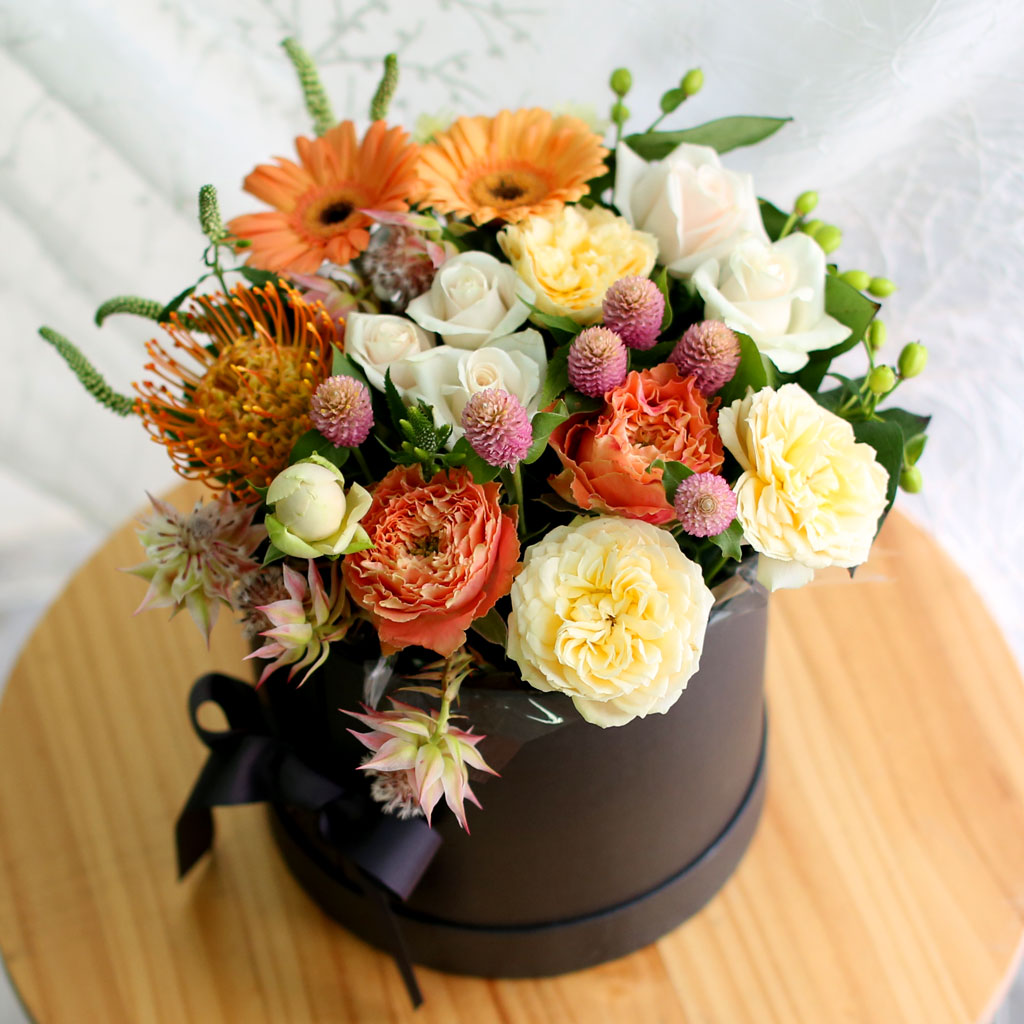 Fall in love- Some Feelings in Fall  ɹ