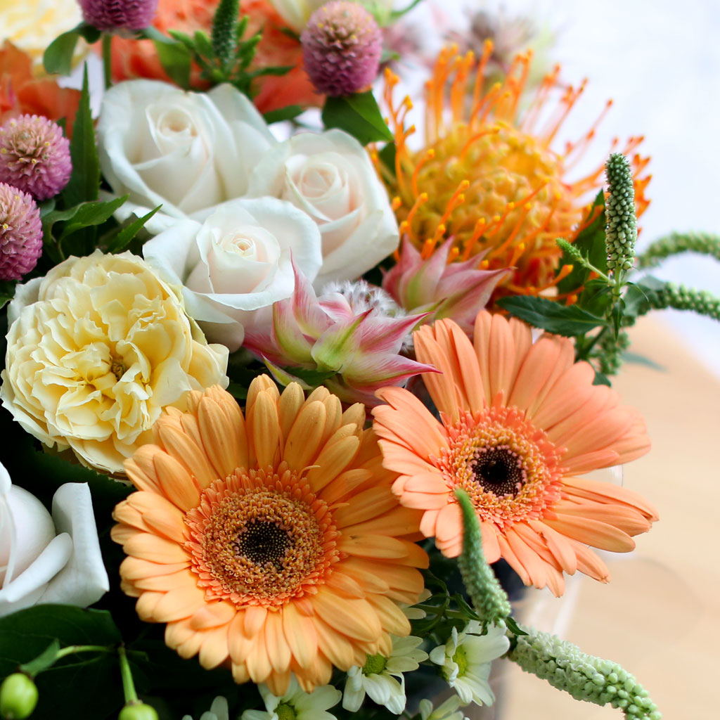 Fall in love- Some Feelings in Fall  ɹ