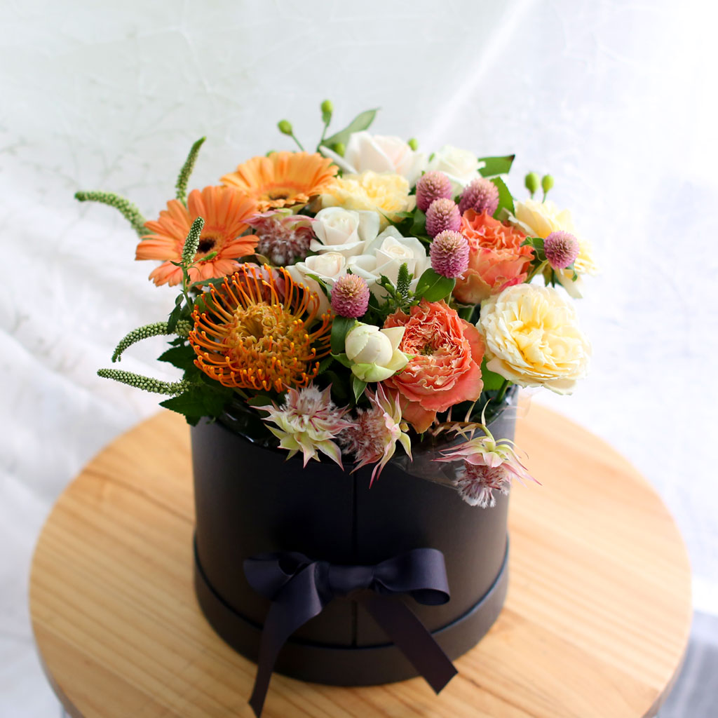 Fall in love- Some Feelings in Fall  ɹ