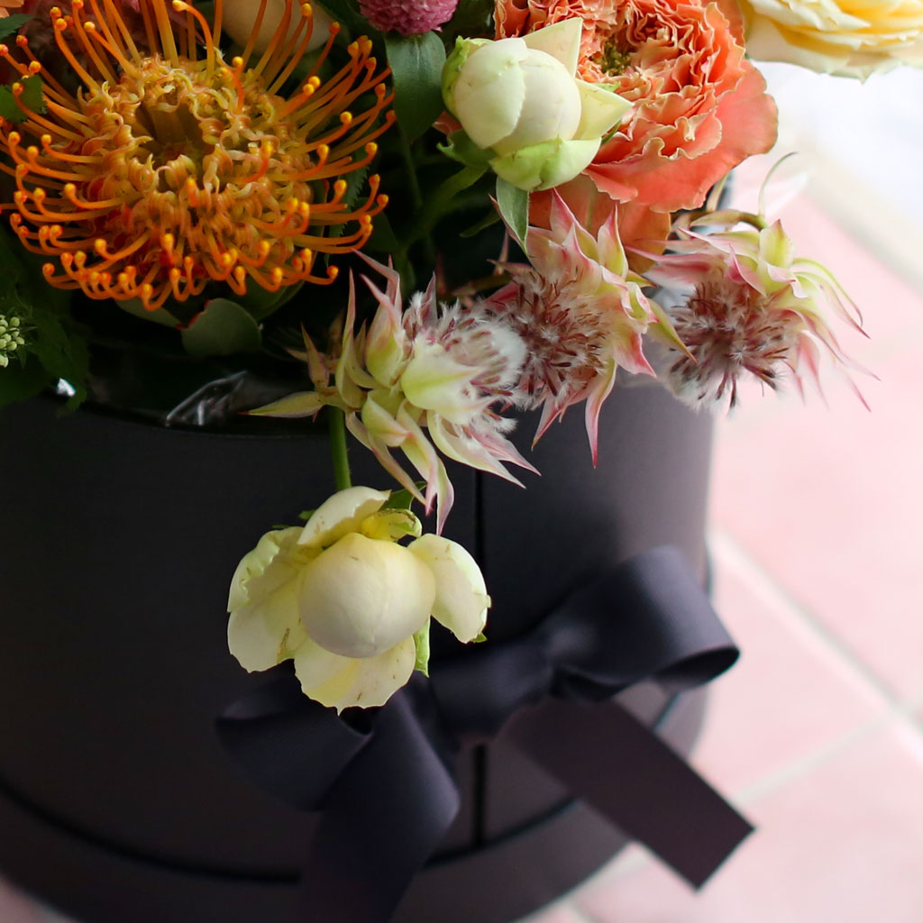 Fall in love- Some Feelings in Fall  ɹ