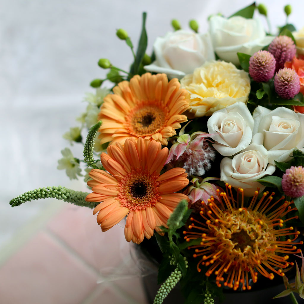 Fall in love- Some Feelings in Fall  ɹ