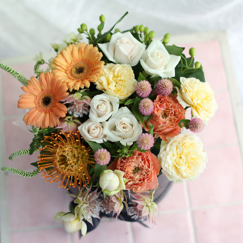 Fall in love- Some Feelings in Fall  ɹ