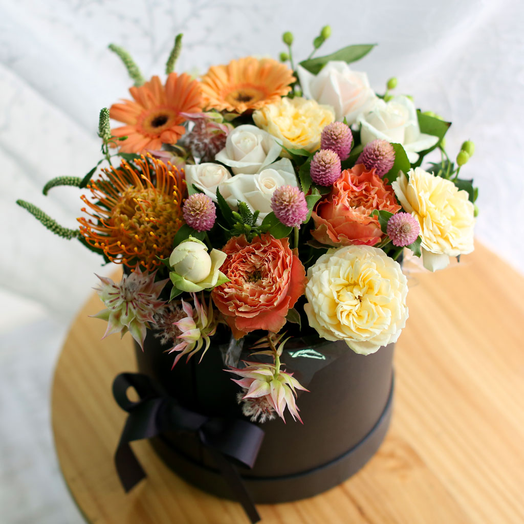 Fall in love- Some Feelings in Fall  ɹ