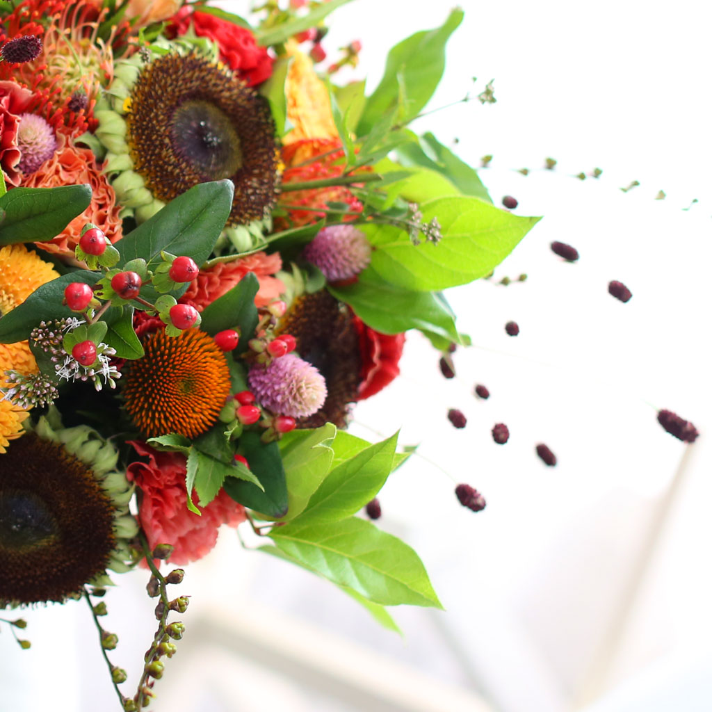 Fall in love- ÇØÁú³á dz°æ ²ÉÁý ²É¹è´Þ