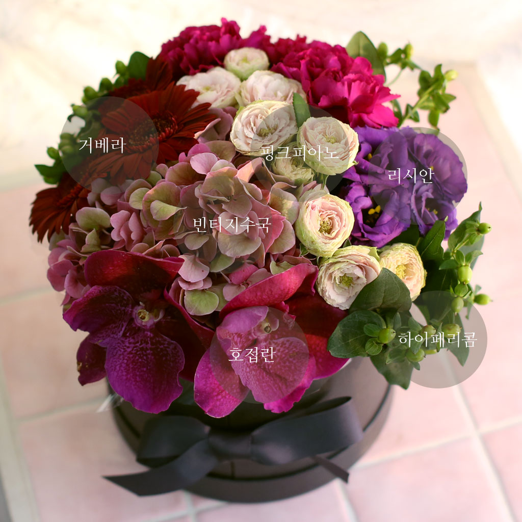 Fall in love- Ͻ׸   ɹ