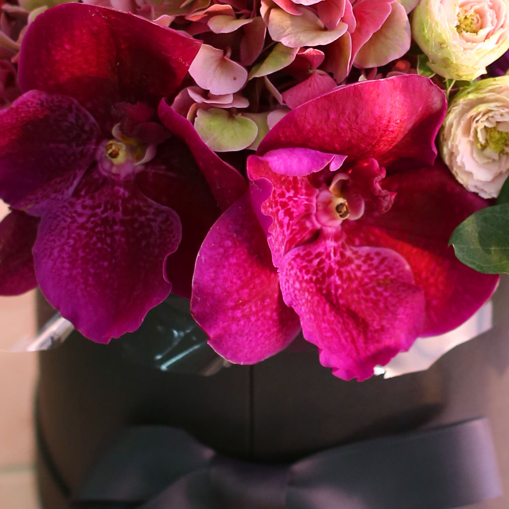 Fall in love- Ͻ׸   ɹ