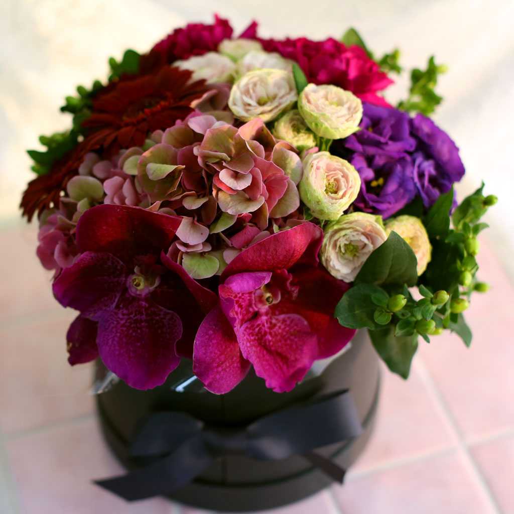 Fall in love- Ͻ׸   ɹ