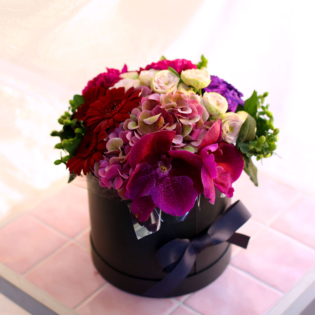 Fall in love- Ͻ׸   ɹ