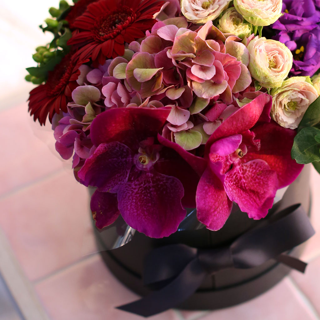 Fall in love- Ͻ׸   ɹ