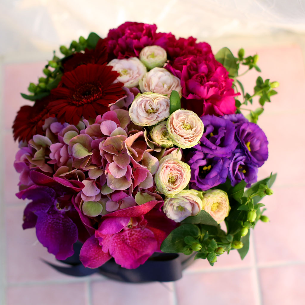 Fall in love- Ͻ׸   ɹ