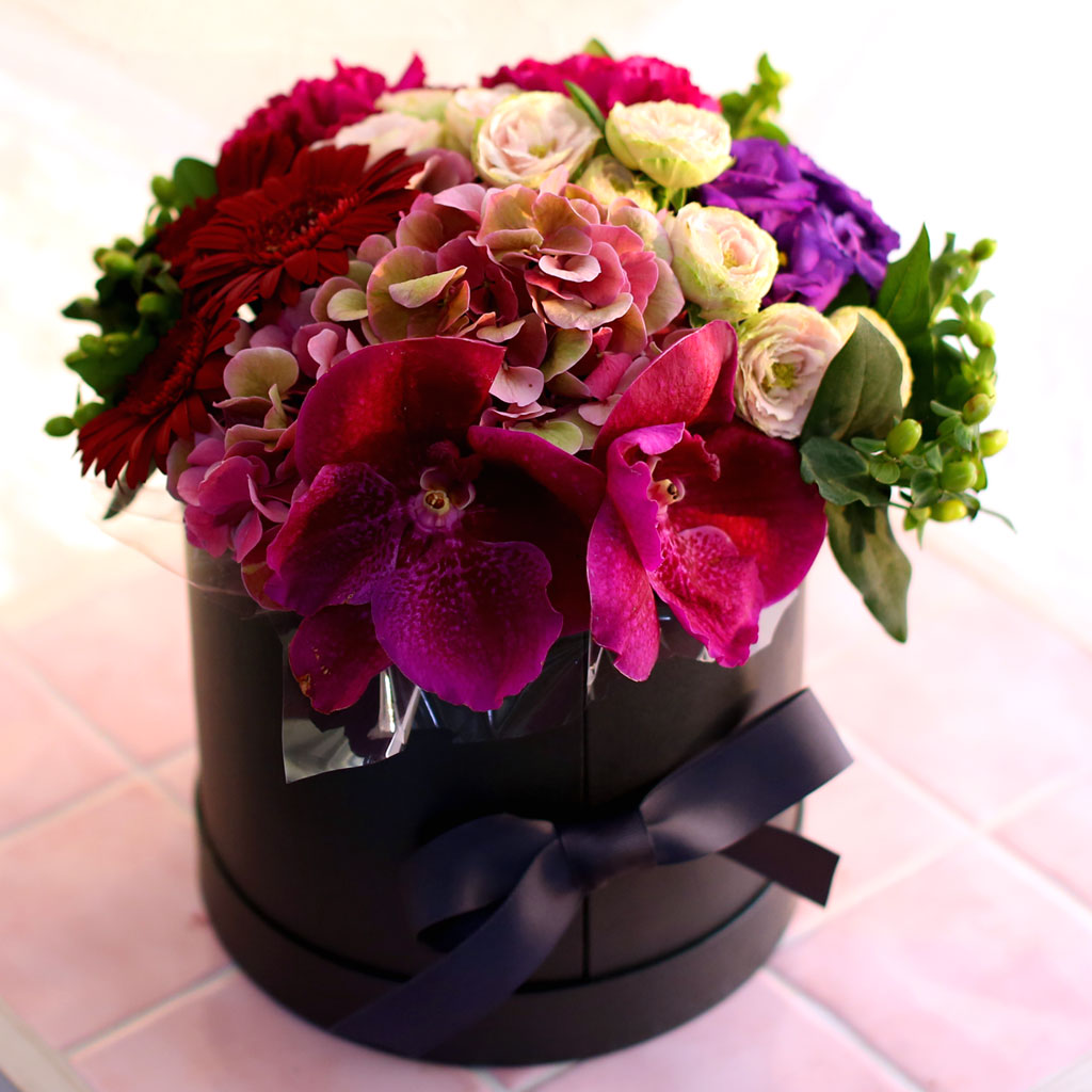 Fall in love- Ͻ׸   ɹ