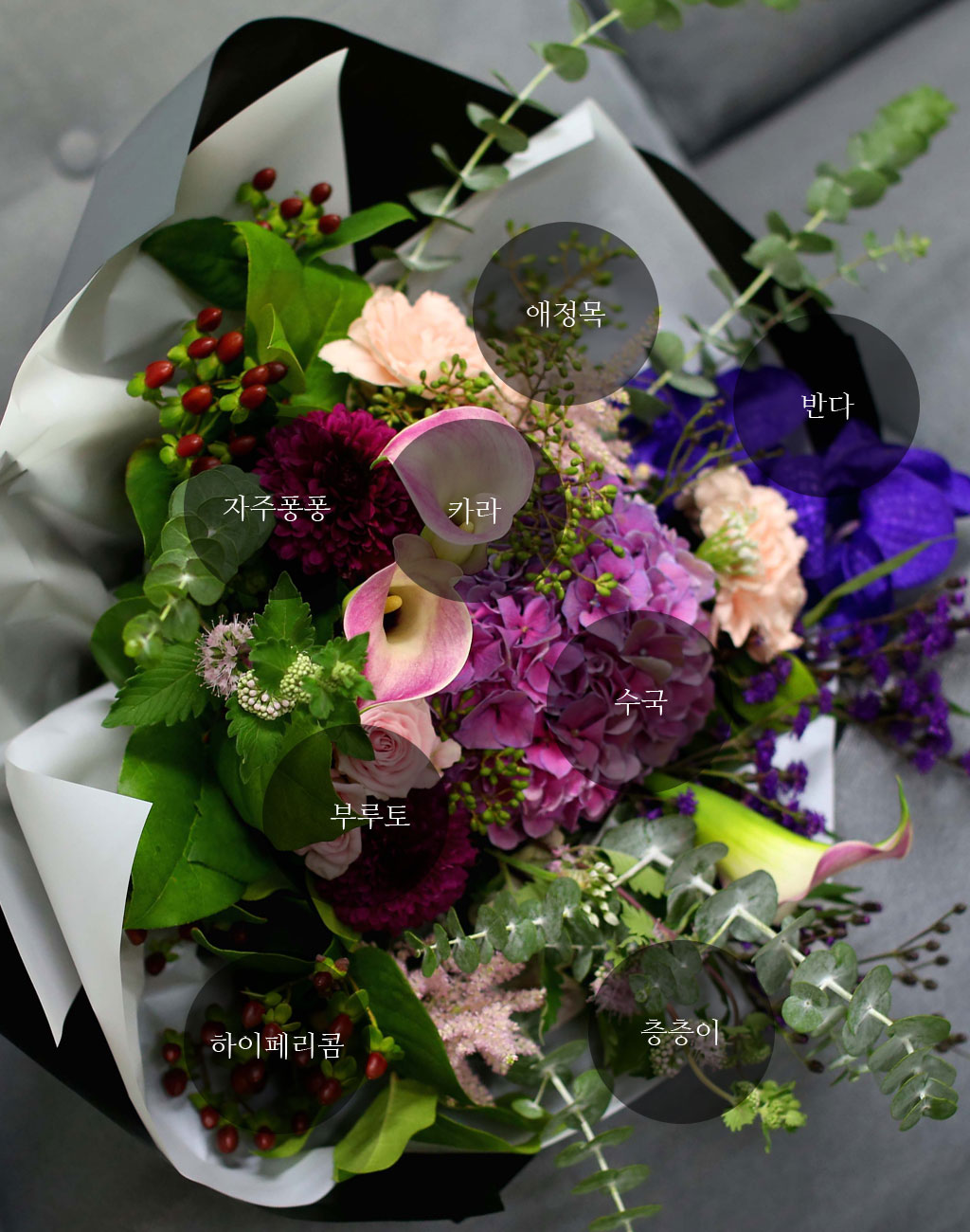 Fall in love- It's a beautiful day ²ÉÁý ²É¹è´Þ