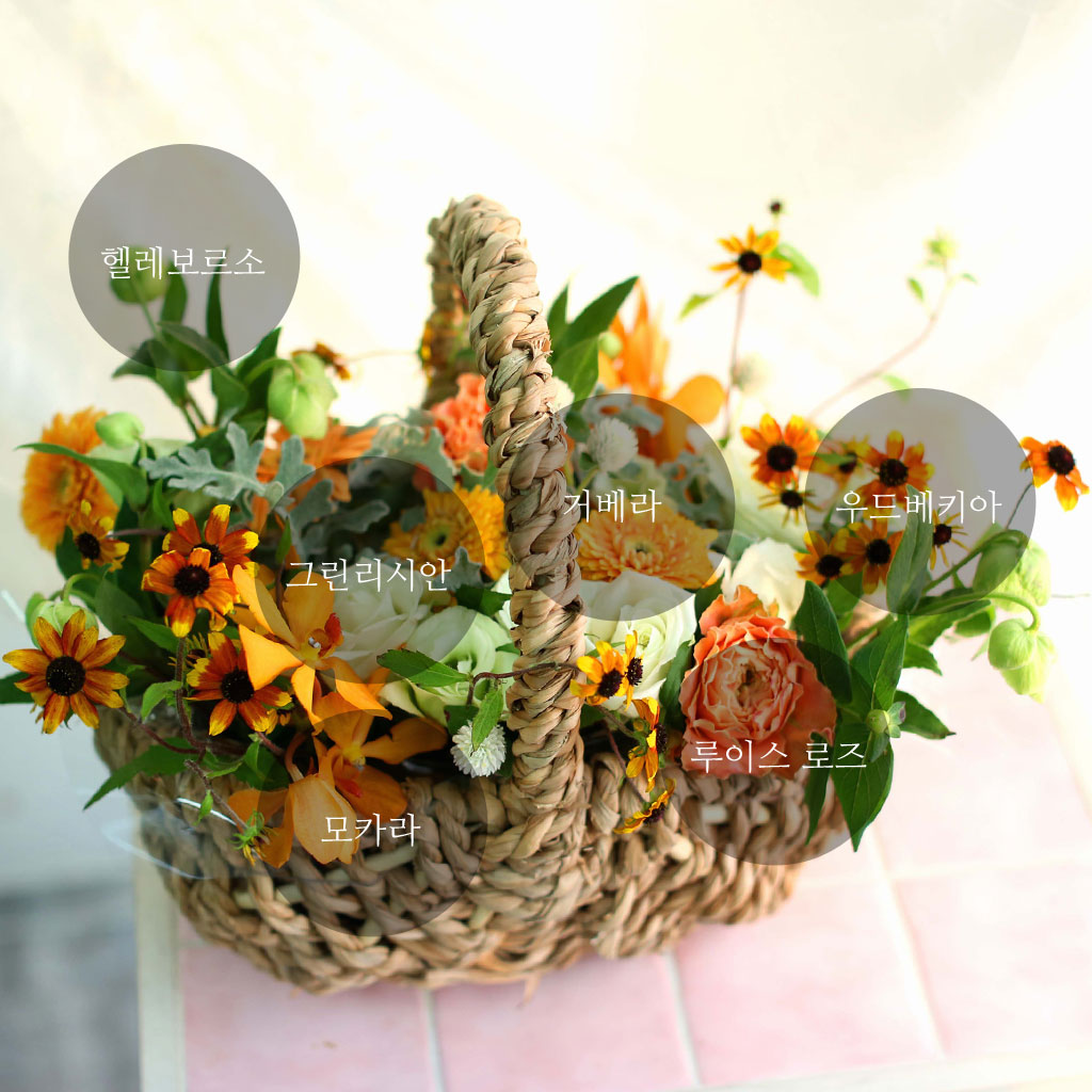 Fall in love - with people's smiles  ɹ