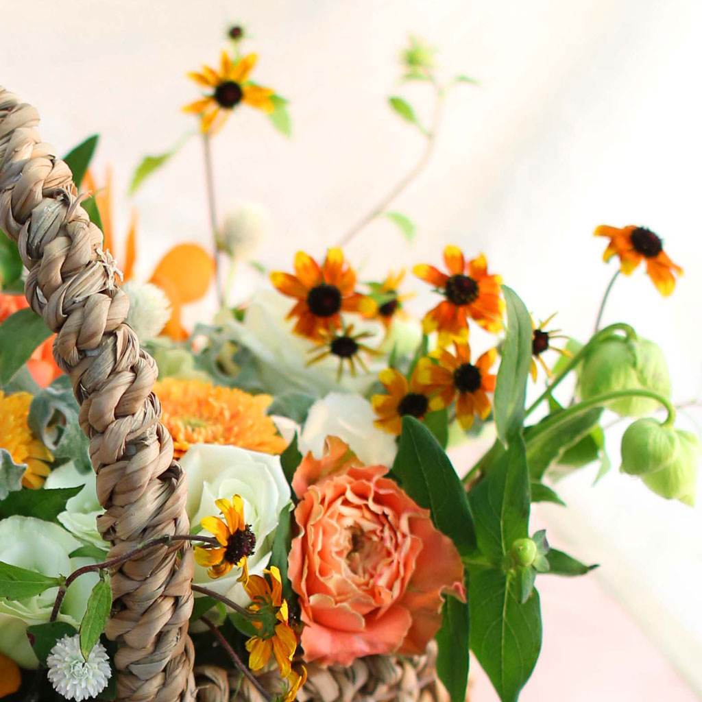 Fall in love - with people's smiles  ɹ