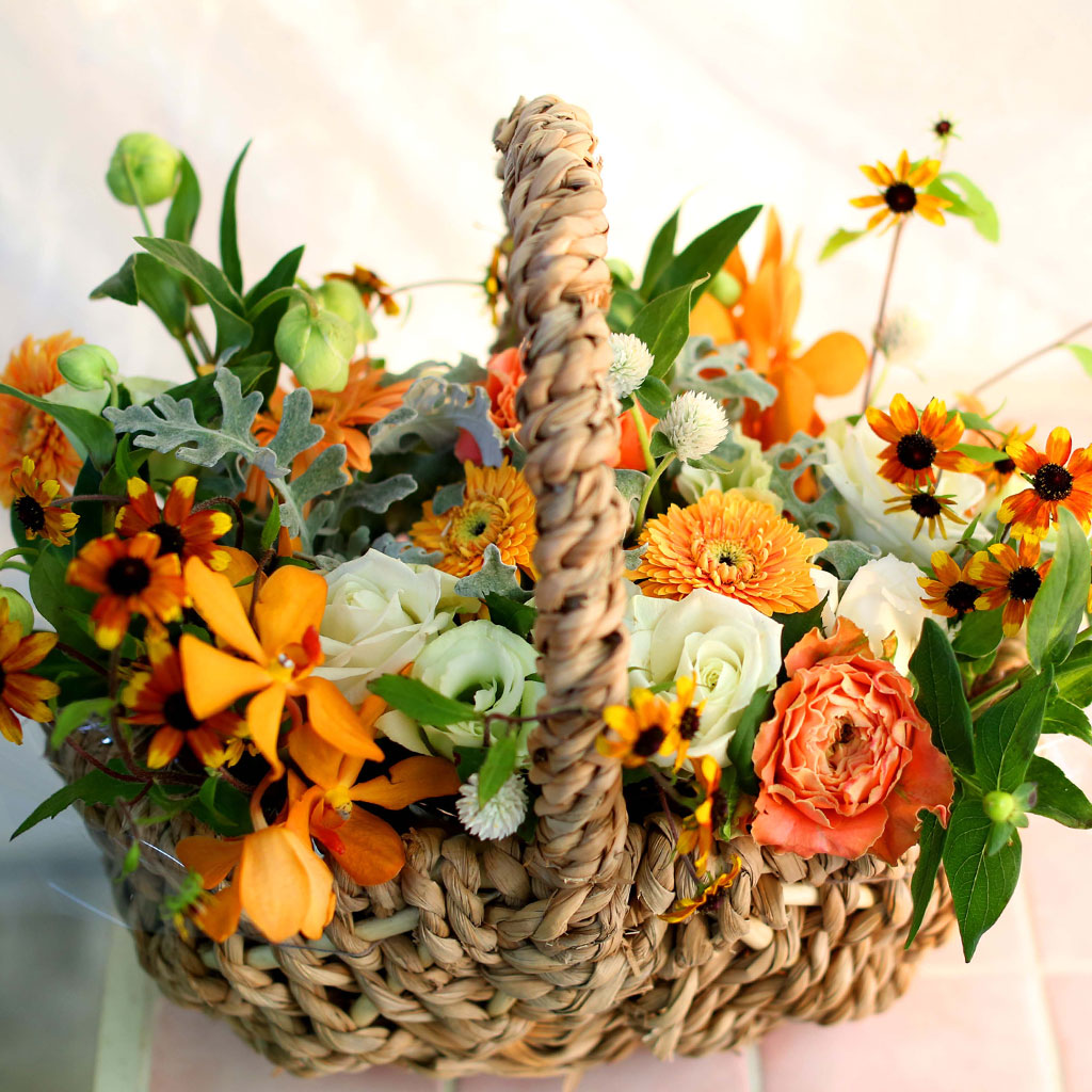 Fall in love - with people's smiles  ɹ