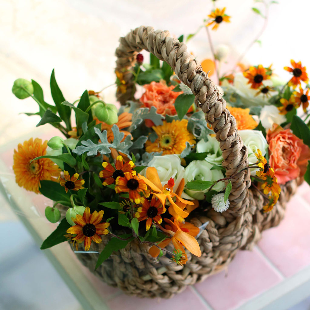 Fall in love - with people's smiles  ɹ