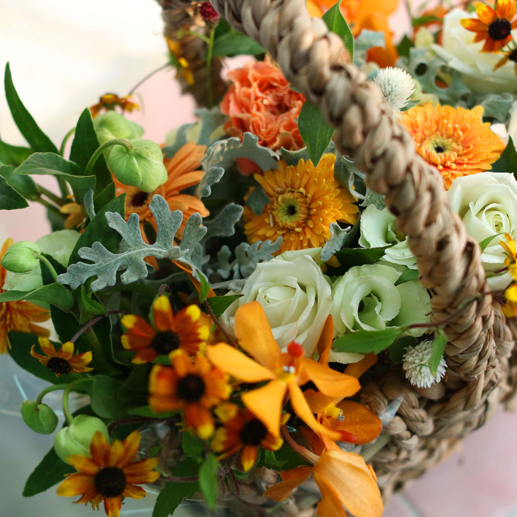 Fall in love - with people's smiles  ɹ