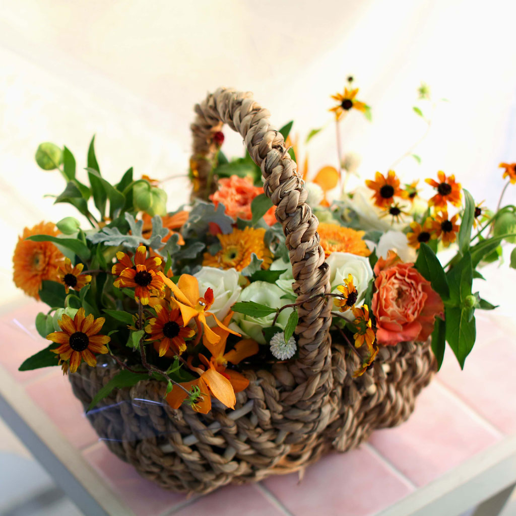 Fall in love - with people's smiles  ɹ