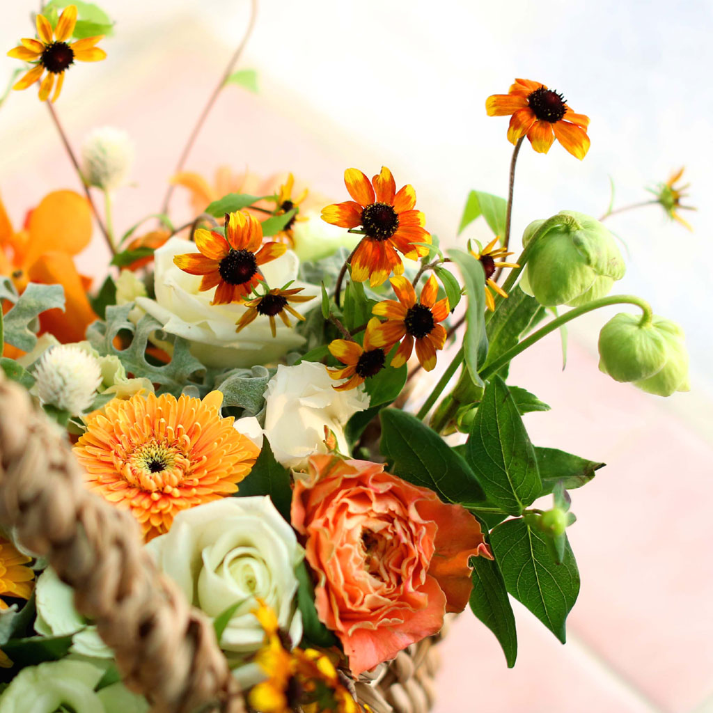 Fall in love - with people's smiles  ɹ