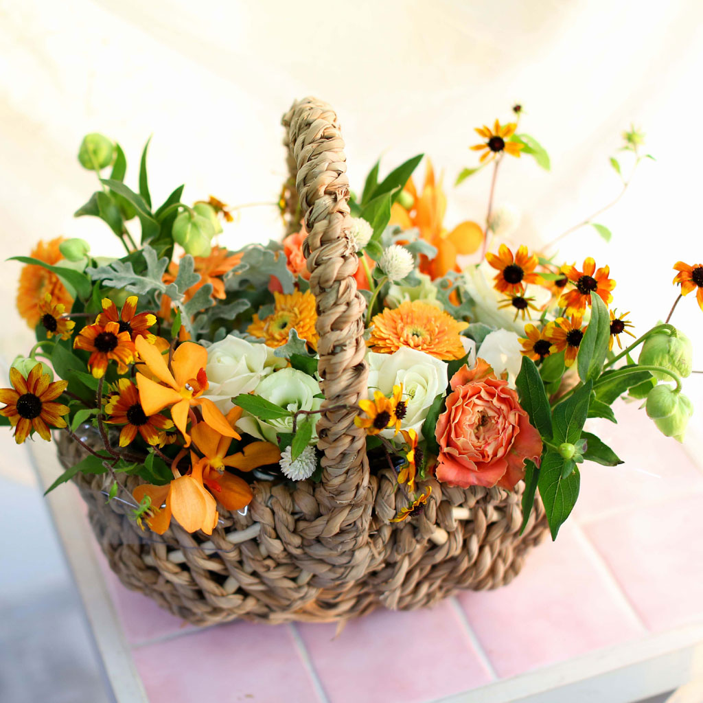 Fall in love - with people's smiles  ɹ