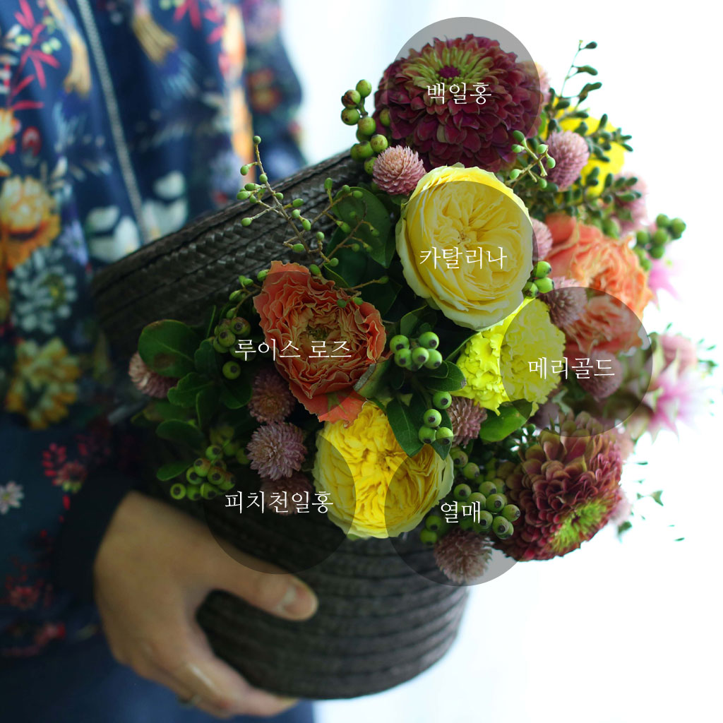 Fall in love - all of you  ɹ