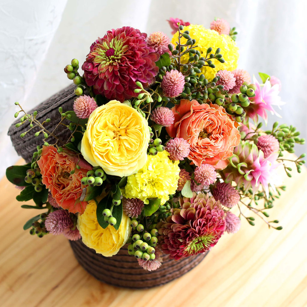 Fall in love - all of you  ɹ