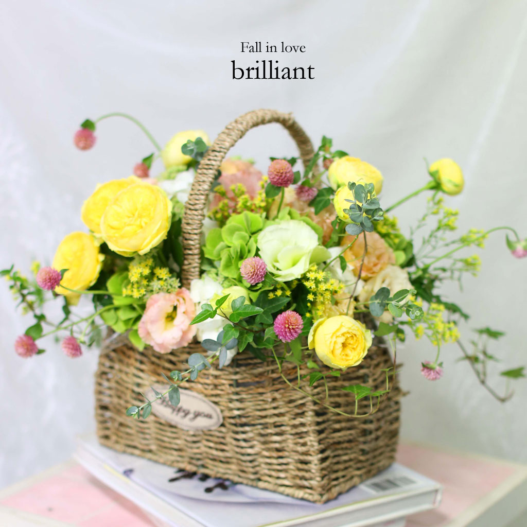 Fall in love - brilliant  ɹ